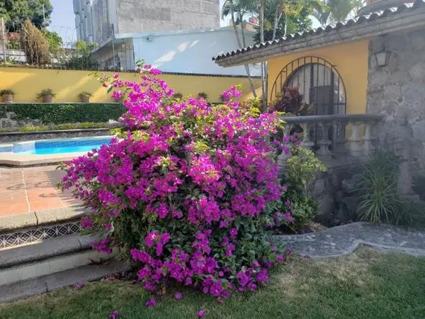 Casa en venta en Vista Hermosa, Cuernavaca, Morelos