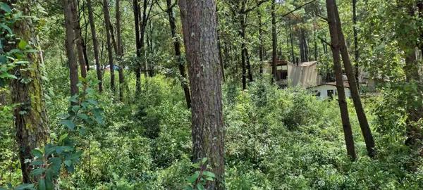 Terreno venta Cerro Gordo Avandaro bosque