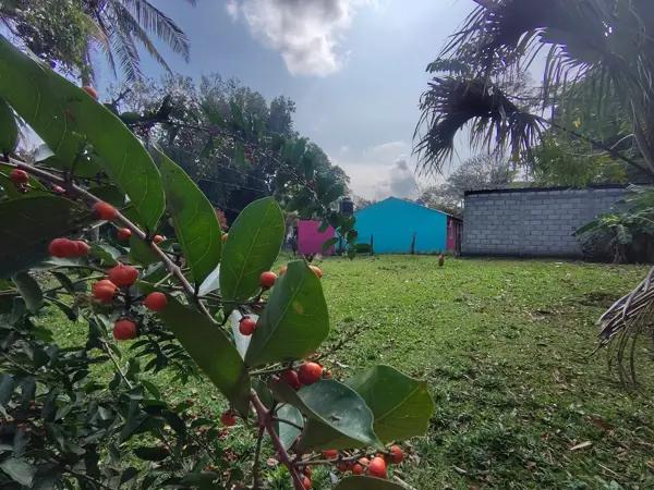VENDO TERRENO CERCA DEL CAMPO LA AGUADA RIVIERA FC EN ANTON LIZARDO