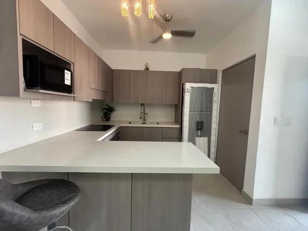 Departamento en Venta o Renta en Santa Catarina