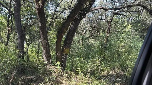 Terreno en venta en El Barrial, Santiago | 78,414 m² | Carretera Nacional Terreno en venta en El Barrial, Santiago | 78,414 m² | Carretera Nacional