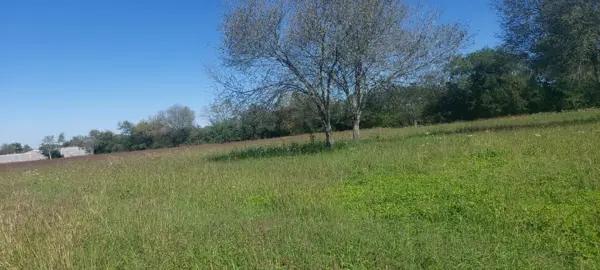 VENTA TERRENO EN SANTA ESMERALDA