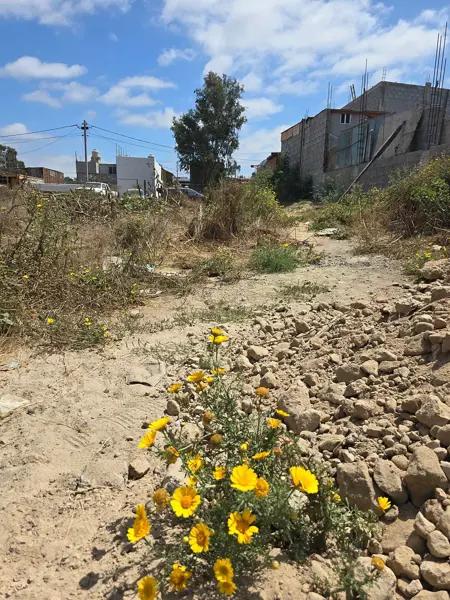 Terreno en venta en la Gloria, Tijuana
