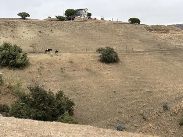 Terreno en venta lomas altas 1, Playas de Rosarito Terreno en venta lomas altas 1, Playas de Rosarito