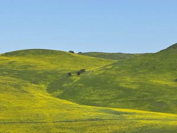 Lotes en venta cerca de Cedros, Tijuana. Rancho Santa Fé Lotes en venta cerca de Cedros, Tijuana. Rancho Santa Fé