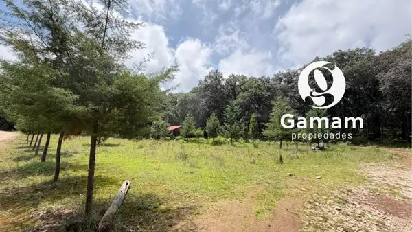 TERRENO EN VENTA | Omitlán de Juárez, Hidalgo. A sólo 7 minutos del centro de Huasca de Ocampo.