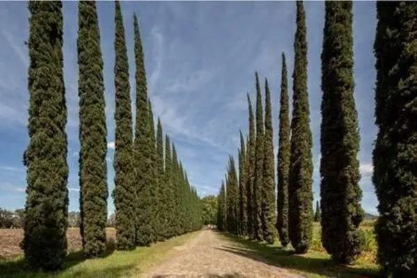 Venta de Terrenos en Cañadas del Valle