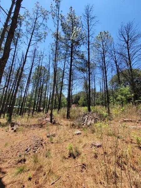 VENTA de terreno Campestre mas de 1000 m2,  para cabaña en Amealco, Querétaro.
