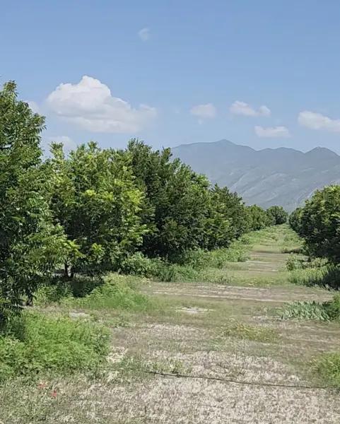 Terreno Campestre en Venta en Sacramento, Coah. a 15 min de Cuatrocienegas Pueblo Magico