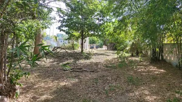 TERRENO EN X-CUYUN EN VENTA