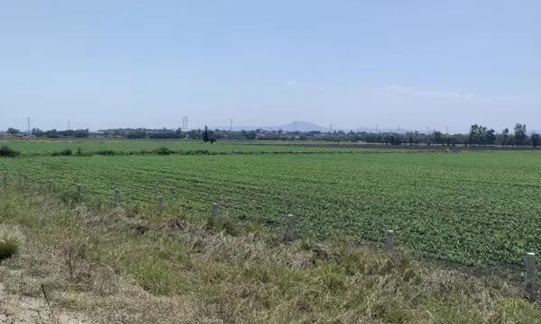 Terreno Industrial en Venta Caleras P - 135