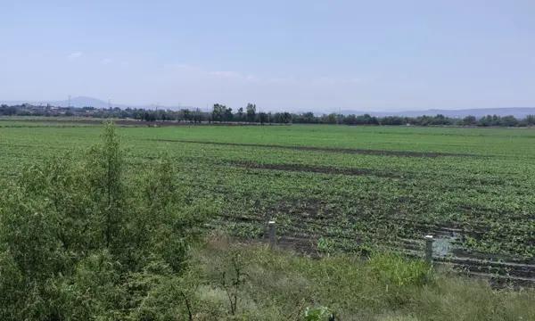 Terreno Industrial en Venta Caleras P - 135