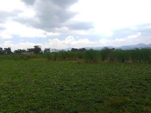 Terreno en Venta en Colonia San Lucas Tunco, Metepec, México.
