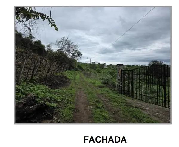 TERRENO EN TEPOZTLÁN MORELOS CHISCO
