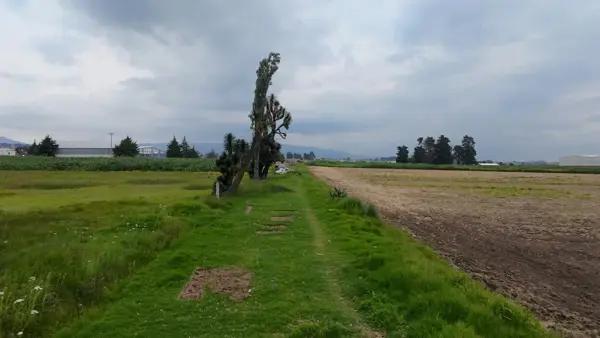 Lotes en venta en Santa Cruz Cuauhtenco