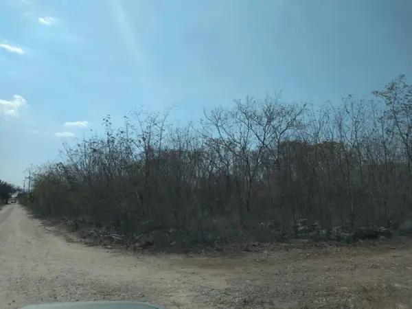 Terreno (2400) en venta, en esquina, en Komchén, Mérida, Yucatán. Terreno (2400) en venta, en esquina, en Komchén, Mérida, Yucatán.