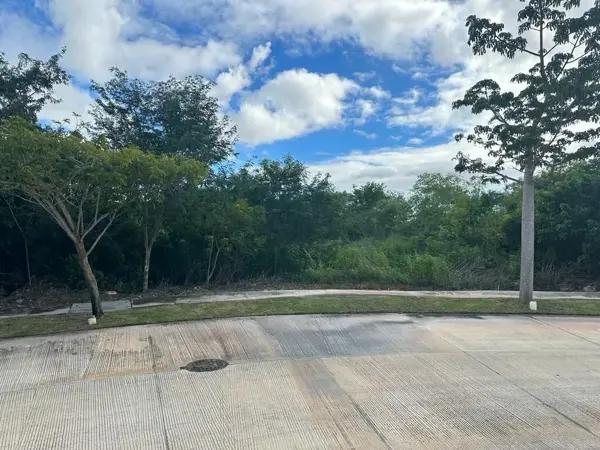 Terreno en venta en Cabo Norte, Mérida Yucatán