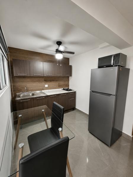DEPARTAMENTO EN RENTA AMUEBLADO DISTRITO TEC, MONTERREY