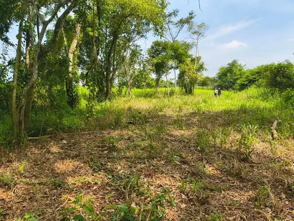 REMATO DE OPORTUNIDAD RANCHO KM 31 CARRT VHSA TEAPA LA HUASTECA