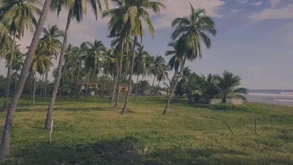 Terreno en Venta en Buena Vista, Zihuatanejo de Azueta, Guerrero | KC0060