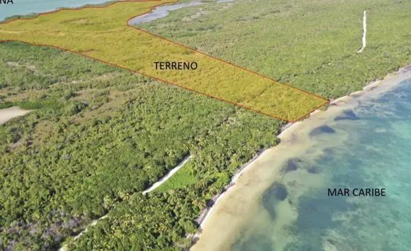 Terreno en Venta en Tulum 22.4 Has con Frente de Playa |  KC0003