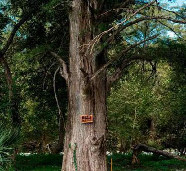 Terreno en Venta en Hacienda del Cielo, Cadereyta