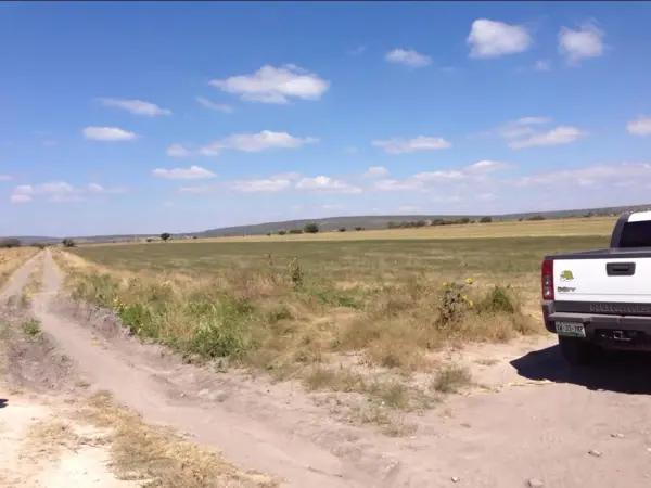 Terreno en Venta en Corral de Piedras Guanajuato | ACM0142