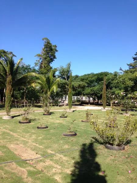 EXCELENTE RANCHO EN VENTA RUTA DE LOS CENOTES PUERTO MORELOS