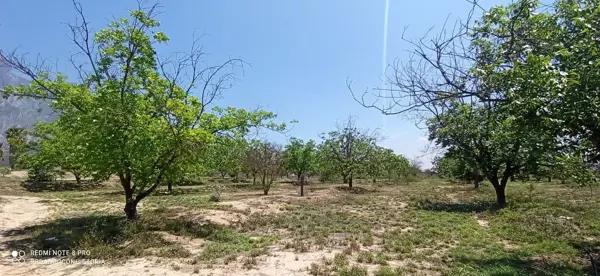 TERRENO EN VENTA ICAMOLE