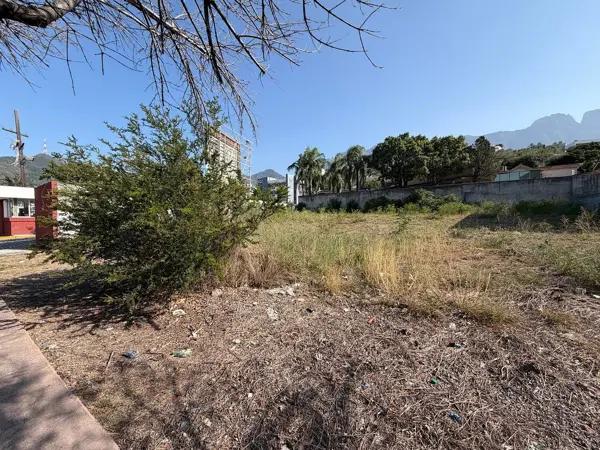 TERRENO EN VENTA SOBRE ALFONSO REYES