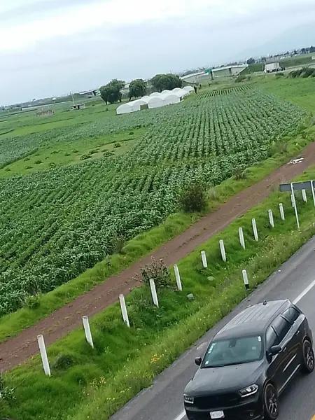 Terreno en Santa Cruz Atizapán, Edo. de México