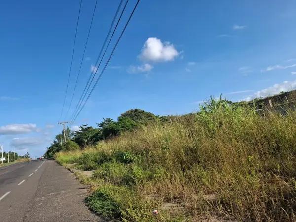 Terreno en Venta junto a Punta Tiburón en Alvarado, Veracruz