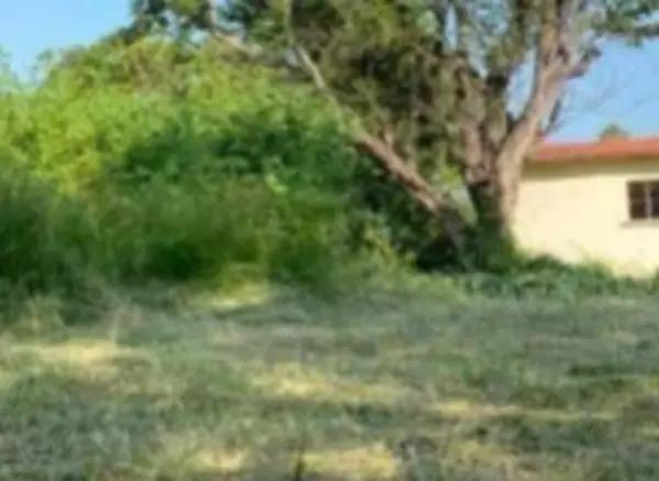 COMPRALE DIRECTO AL BANCO EL TERRENO DE ENTREGA INM  EN Atlacholoaya, XOCHITEPEC MORELOS