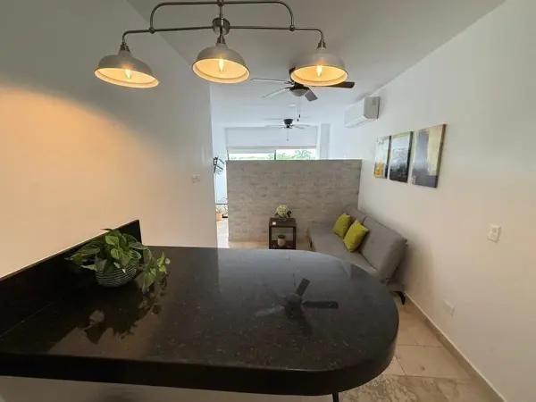 Departamento amueblado de 1 rec. en Sky City