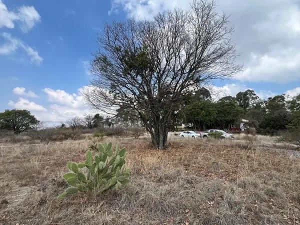 Venta de terreno residencial en fraccionamiento La Joya - Haras del Bosque