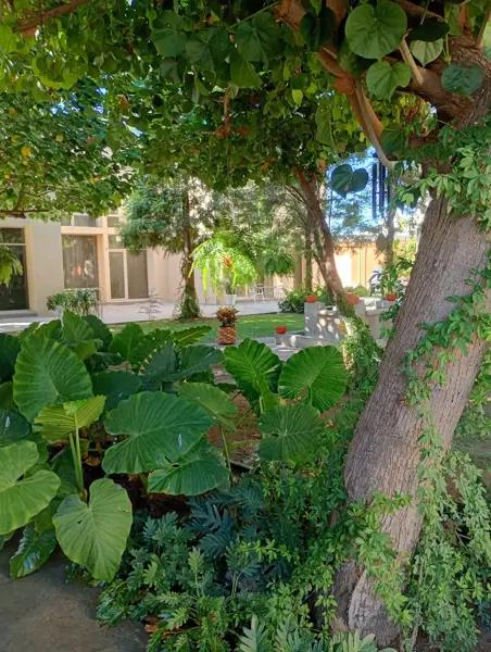 Condominio amueblado con alberca