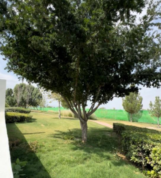 Terreno en venta en Altozano la Nueva Laguna, Gómez Palacio, Durango Terreno en venta en Altozano la Nueva Laguna, Gómez Palacio, Durango