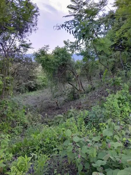 Oportunidad terreno mide 8500m2