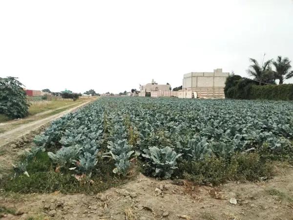 TERRENO EN VENTA A PIE DE CALLE A 5 MIN DE PLAZA LAS GLORIAS