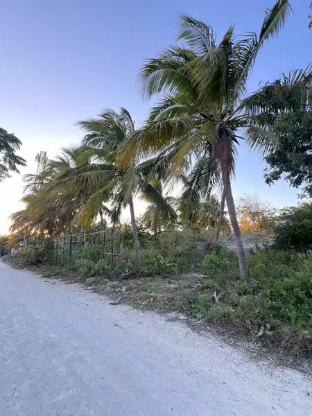 TERRENO EN VENTA EN CHELEM, YUCATÁN