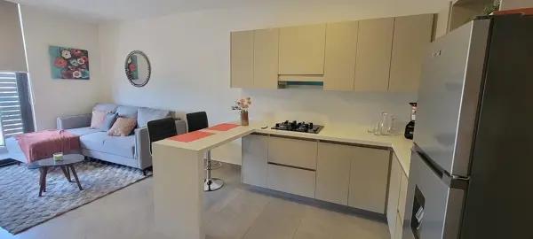 DEPARTAMENTO AMUEBLADO RENTA-DISTRITO DOMO