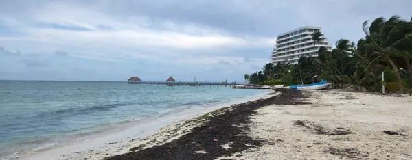 TERRENO EN VENTA CANCUN HASTA 11 NIVELES FRENTE AL MAR