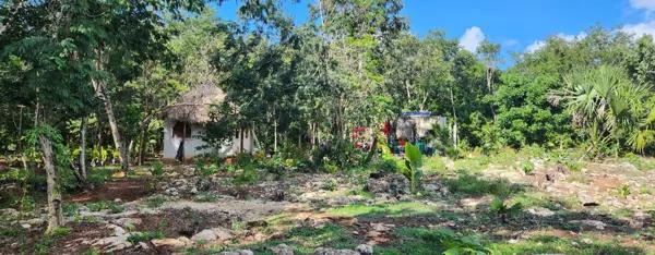 RANCHO EN VENTA LEONA VICARIO 10 HECTÁREAS  ARBOLES FRUTALES
