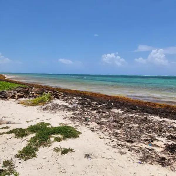 TERRENO EN VENTA  MAHAHUAL , LA CASONA  , FRENTE AL MAR