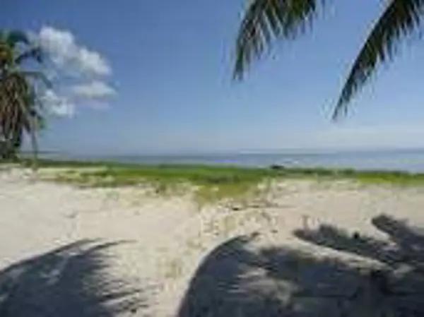 TERRENO EN VENTA  MAHAHUAL, EL UVERO, FRENTE AL MAR
