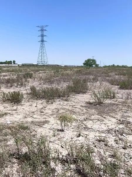 Terreno en venta en San José de Viñedo, Gómez Palacio, Durango Terreno en venta en San José de Viñedo, Gómez Palacio, Durango