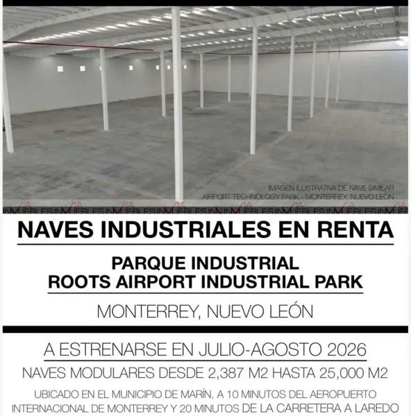 Roots