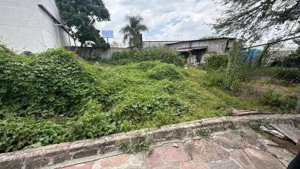 TERRENO BOULEVARD MORELOS RENTA
