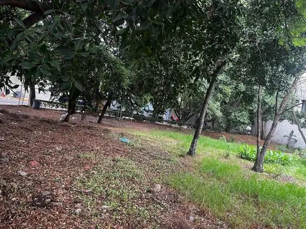 TERRENO EN VENTA DENTRO DE UNA PRIVADA EN LA COLONIA FLORIDA