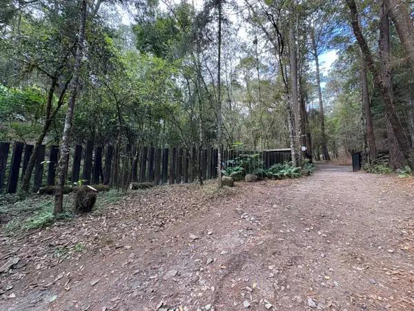 Venta de Lotes en Fraccionamiento en Cerro Gordo